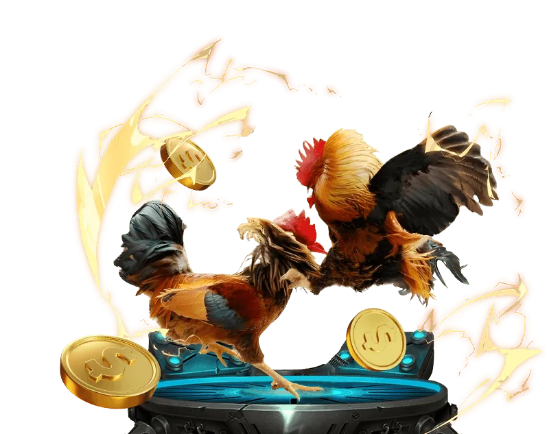 Trải nghiệm cá nhân hóa ibet